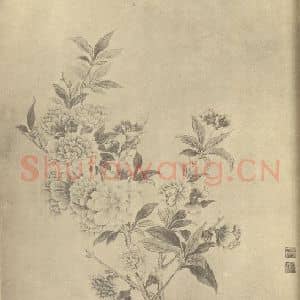 清代 邹一桂国画作品《芍药》摘自 南画大成 卷四