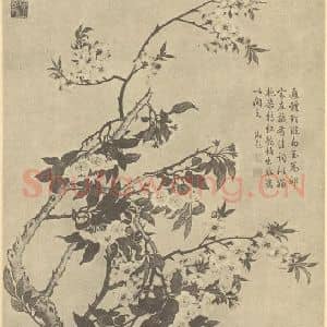 清代 邹一桂国画作品《红桃白梨》摘自 南画大成 卷四