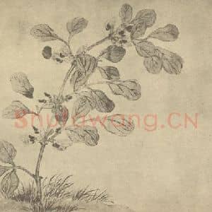 清代 汪士慎国画作品《豆花》摘自 南画大成 卷四