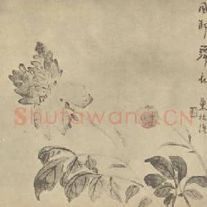 清代 汪士慎国画作品《芍药》摘自 南画大成 卷四