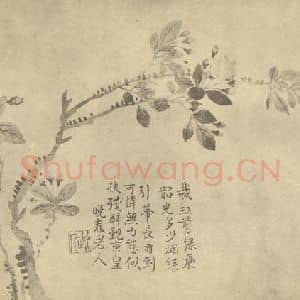清代 汪士慎国画作品《海棠》摘自 南画大成 卷四