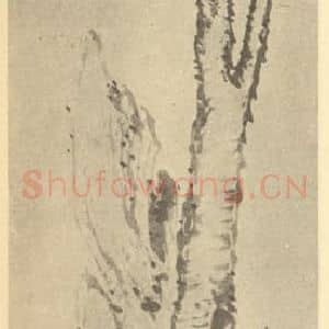 清代 钱载国画作品《玉兰图》摘自 南画大成 卷四