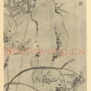 清代 张赐宁国画作品《萱草竹石图》摘自 南画大成 卷四