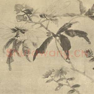 清代 张赐宁国画作品《菊葵》摘自 南画大成 卷四