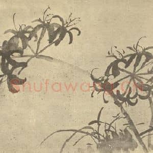 清代 张赐宁国画作品《蔓珠沙华》摘自 南画大成 卷四