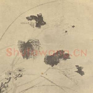 明代 陈淳国画作品《秋海棠图》摘自 南画大成 卷四
