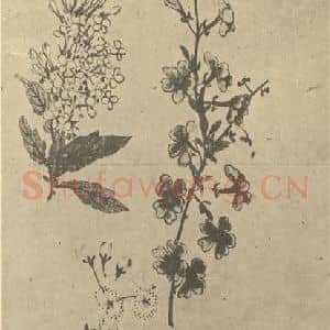 清代 黄钺国画作品《二十四番华信(二)》摘自 南画大成 卷四