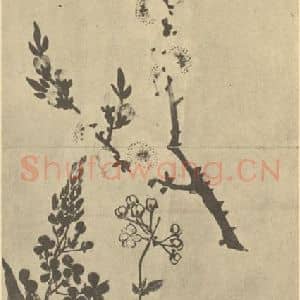 清代 黄钺国画作品《二十四番华信(三)》摘自 南画大成 卷四