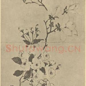 清代 黄钺国画作品《二十四番华信(五)》摘自 南画大成 卷四