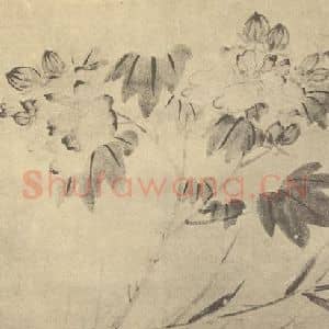 明代 陈淳国画作品《芙蓉图》摘自 南画大成 卷四