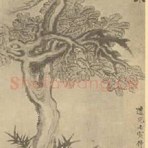 清代 戴熙国画作品《梵天珍木图》摘自 南画大成 卷四