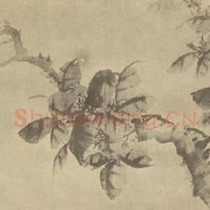 清代 吴熙载国画作品《桂花》摘自 南画大成 卷四