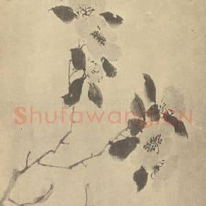 明代 陈淳国画作品《山茶》摘自 南画大成 卷四