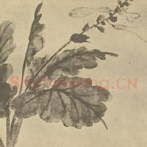 清代 吴熙载国画作品《玉簪》摘自 南画大成 卷四