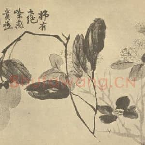 清代 赵之谦国画作品《紫薇赤柿》摘自 南画大成 卷四
