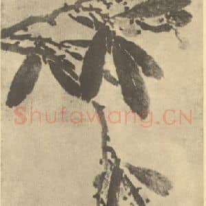 明代 陈淳国画作品《晚翠图》摘自 南画大成 卷四