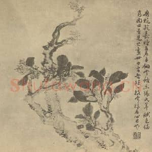 清代 陈豪国画作品《桂花》摘自 南画大成 卷四