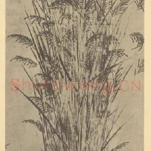 元代 无款国画作品《嘉禾图》摘自 南画大成 卷四