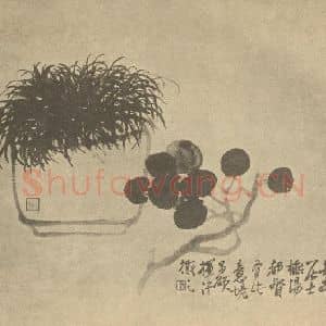 清代 吴昌硕国画作品《盆菖图》摘自 南画大成 卷四