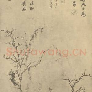 元代 赵孟頫国画作品《乔柯竹石图》摘自 南画大成 卷四