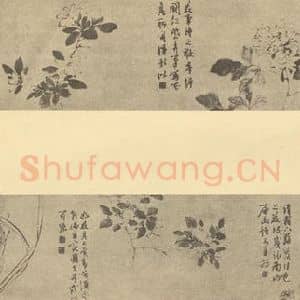 明代 陈淳国画作品《花卉五图卷》摘自 南画大成 卷四