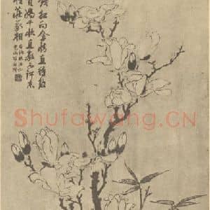 明代 陆治国画作品《玉兰图》摘自 南画大成 卷四