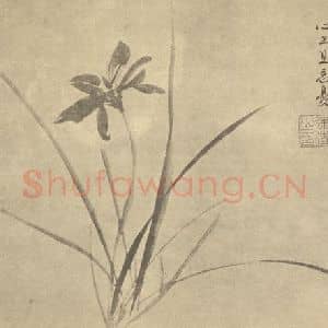 明代 徐渭国画作品《萱草》摘自 南画大成 卷四