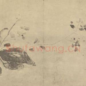 明代 徐渭国画作品《秋海棠图》摘自 南画大成 卷四