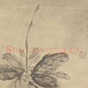 明代 徐渭国画作品《玉簪花》摘自 南画大成 卷四