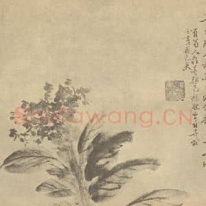 明代 徐渭国画作品《鸡冠花》摘自 南画大成 卷四