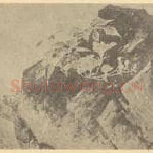 明代 徐渭国画作品《写生花卉图卷(二)》摘自 南画大成 卷四