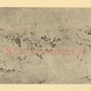 明代 徐渭国画作品《写生花卉图卷(三)》摘自 南画大成 卷四