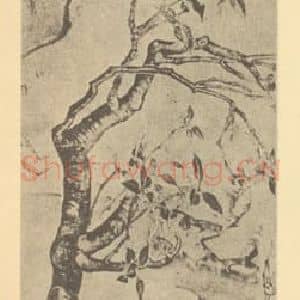 明代 项元汴国画作品《写生花卉图卷(四)》摘自 南画大成 卷四