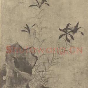明代 文俶国画作品《百合图》摘自 南画大成 卷四