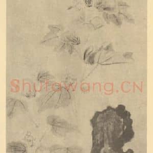 明代 沈周国画作品《芙蓉图》摘自 南画大成 卷四