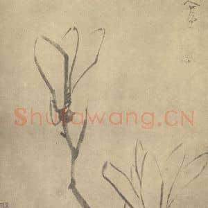 清代 朱耷国画作品《木兰》摘自 南画大成 卷四