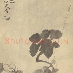 清代 朱耷国画作品《花卉》摘自 南画大成 卷四