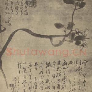 清代 朱耷国画作品《茉莉》摘自 南画大成 卷四
