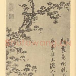明代 唐寅国画作品《杏花图》摘自 南画大成 卷四