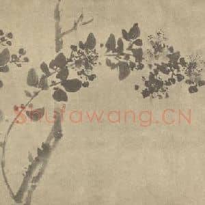 清代 王正国画作品《紫薇》摘自 南画大成 卷四
