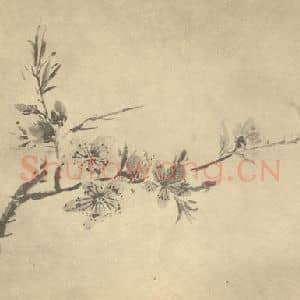 清代 王正国画作品《桃花》摘自 南画大成 卷四