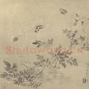 清代 王正国画作品《罂粟图》摘自 南画大成 卷四