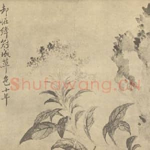 清代 恽寿平国画作品《鸡冠花图》摘自 南画大成 卷四