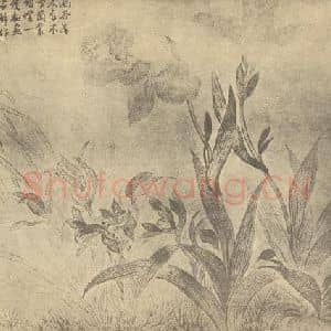 清代 恽寿平国画作品《国香春霁图》摘自 南画大成 卷四