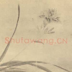 明代 陈淳国画作品《萱花》摘自 南画大成 卷四
