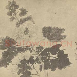 清代 蒋廷锡国画作品《秋葵》摘自 南画大成 卷四