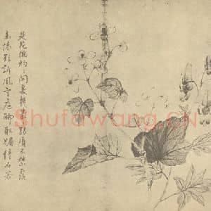 清代 蒋廷锡国画作品《秋海棠鸟头》摘自 南画大成 卷四