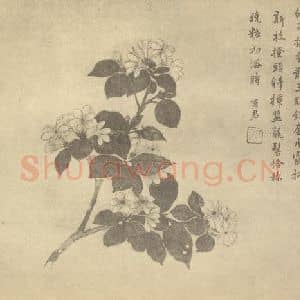 清代 蒋廷锡国画作品《茉莉》摘自 南画大成 卷四