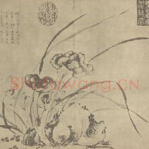 清代 蒋廷锡国画作品《芝兰图》摘自 南画大成 卷四