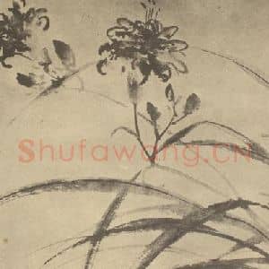 明代 陈淳国画作品《萱花》摘自 南画大成 卷四